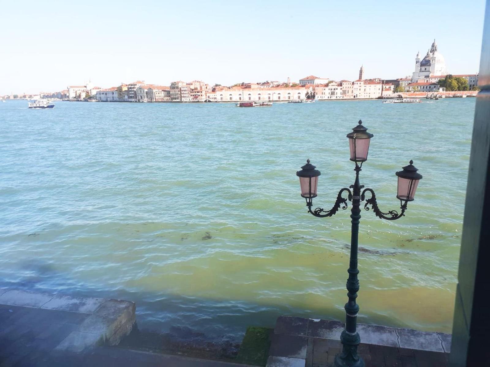 3 Windows On St Mark - Waterfront Apartment Venice Exterior photo